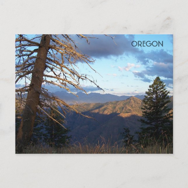 Postal Antes de que sea más caliente que... (Anverso)