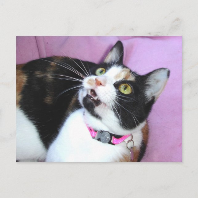 Postal anticipación (Anverso)