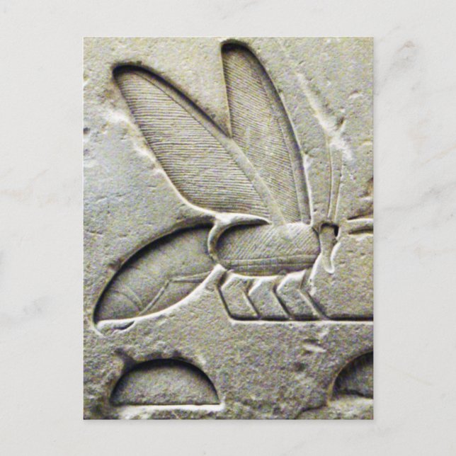 POSTAL ANTIGUA BLANCA NEGRA EGIPCIA HONEY BEE BEEKEEPER (Anverso)