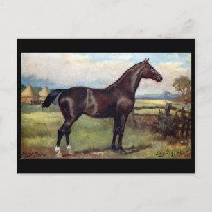 Postal antigua - Cazador inglés