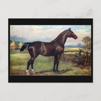 Postal antigua - Cazador inglés