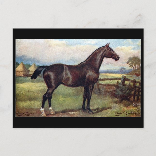 Postal antigua - Cazador inglés