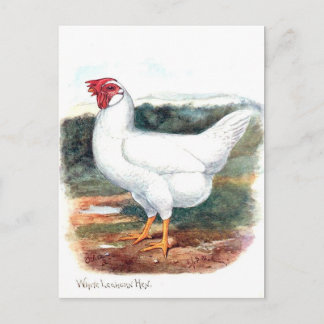 Postal antigua - Mientras Leghorn Hen