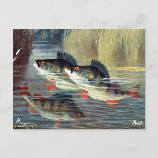 Postal antigua - Percha