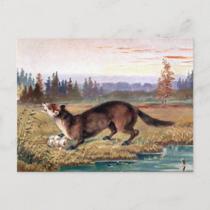 Postal antigua - Pine Marten