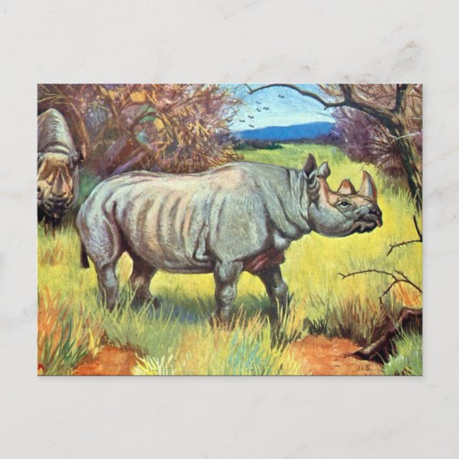 Postal antigua - Rhinoceros (Anverso)