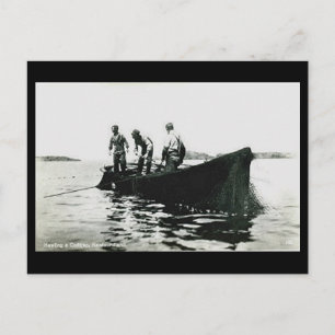 Postal antigua - Terranova, pesca de bacalao