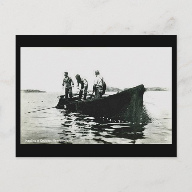 Postal antigua - Terranova, pesca de bacalao (Anverso)
