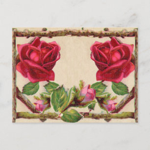 Postal Antigüedad victoriana antigua rosa rústica