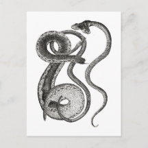 Antigüedades de Serpiente de Dos Cabezas Curiosida