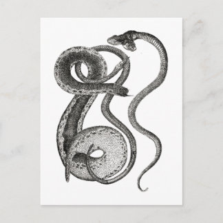 Postal Antigüedades de Serpiente de Dos Cabezas Curiosida