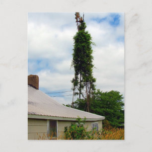 Postal Antiguo agricultor