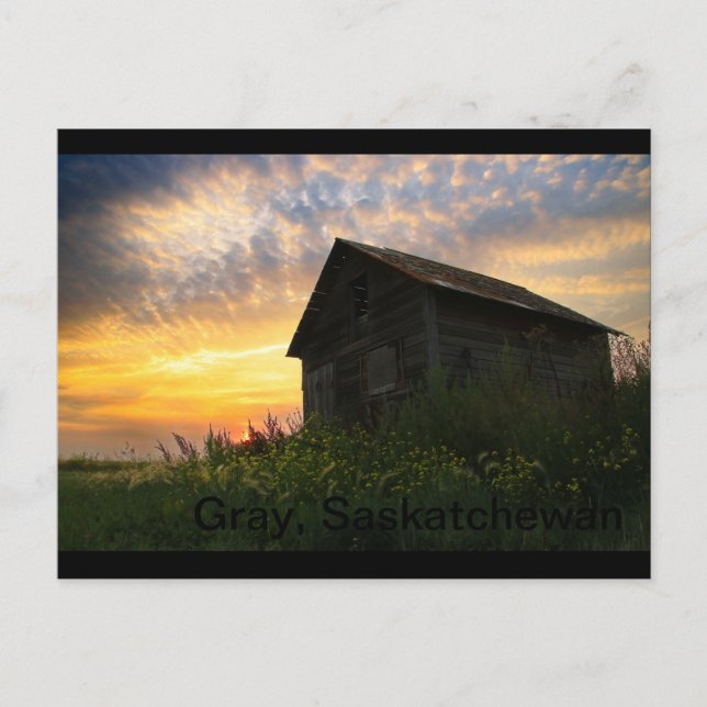 Postal Antiguo cobertizo en las afueras de Grey, Saskatch (Anverso)
