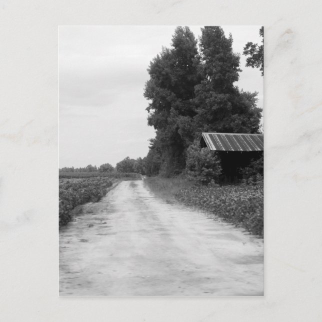 Postal Antiguo establo de edificios en Carolina del Norte (Anverso)