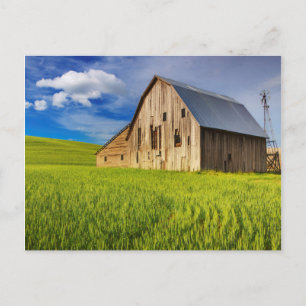 Postal Antiguo granero rodeado por un campo de trigo de p