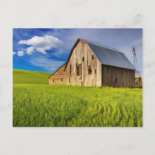 Postal Antiguo granero rodeado por un campo de trigo de p (Anverso)