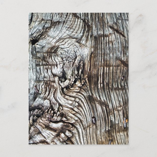 POSTAL ANTIGUO INGLATERRA (Anverso)