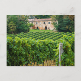 Postal Antiguo viñedo toscano y Villa