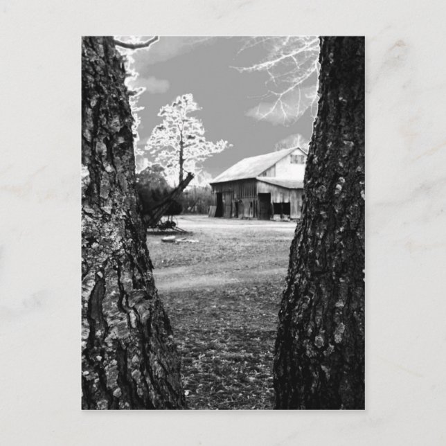 Postal Antiguos graneros rurales País Foto en blanco y ne (Anverso)