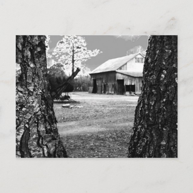 Postal Antiguos graneros rurales País Foto en blanco y ne (Anverso)