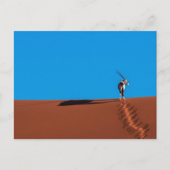 Postal Antílope del Oryx en el desierto de Namib (Anverso)
