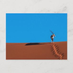 Postal Antílope del Oryx en el desierto de Namib