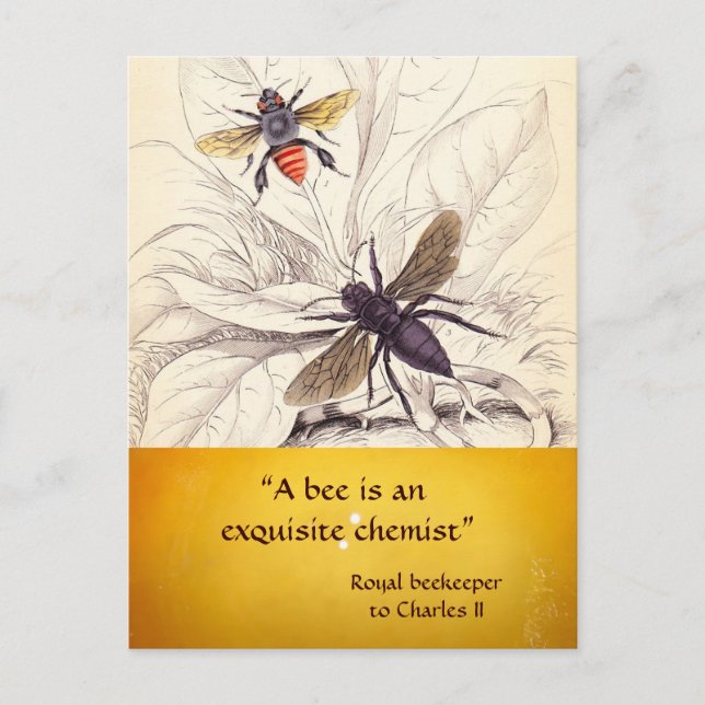 POSTAL ANTIQUE HONEY BEE BEEKEEPER, MANTENIMIENTO (Anverso)