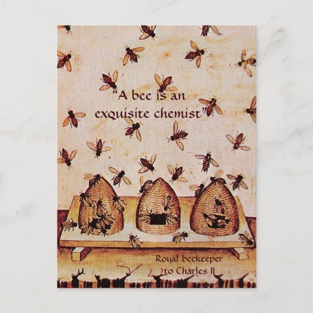 POSTAL ANTIQUE HONEY BEE BEEKEEPER, MANTENIMIENTO (Anverso)