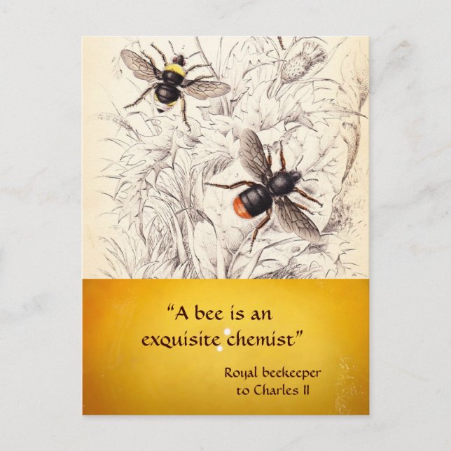 POSTAL ANTIQUE HONEY BEE BEEKEEPER, MANTENIMIENTO (Anverso)