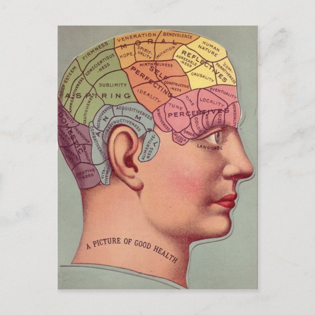Postal antique Mind Brain Map Phrenology head (Anverso)