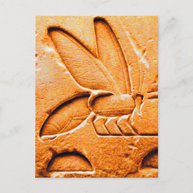 POSTAL ANTIQUE NARANJA AMARILLO EGIPCIO HONEY BEE BEEKEEP (Anverso)