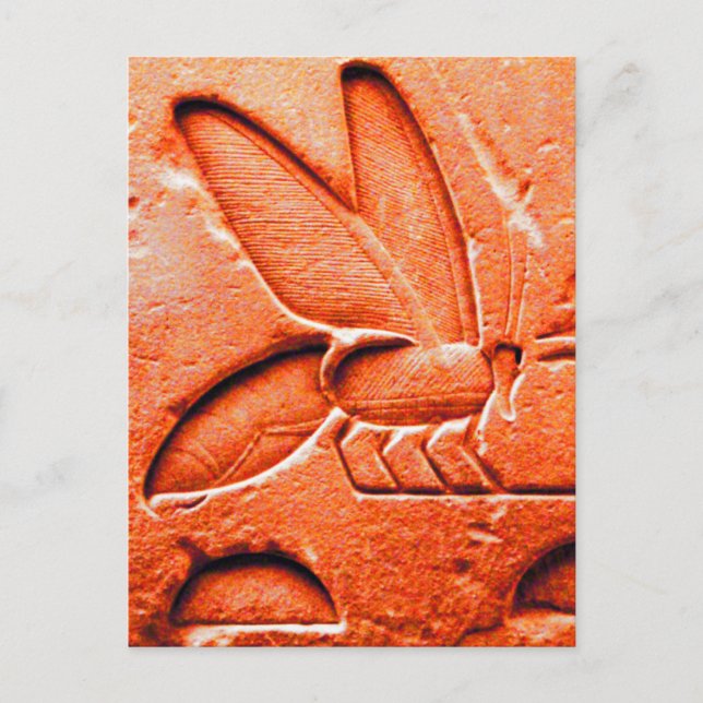 POSTAL ANTIQUE RED EGYPTIAN HONEY BEE BEEKEEPER (Anverso)