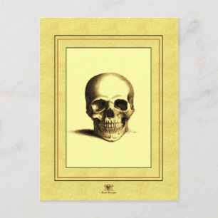 Postal Antique Skull