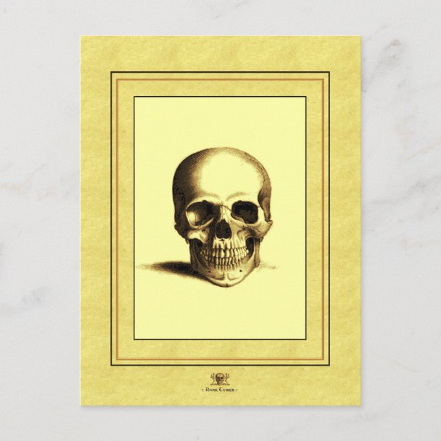 Postal Antique Skull (Anverso)