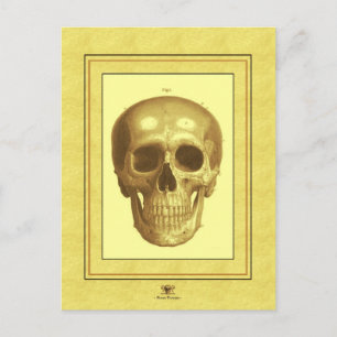 Postal Antque Skull