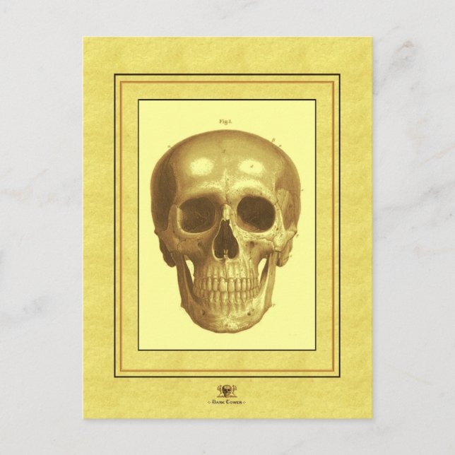 Postal Antque Skull (Anverso)