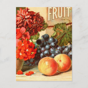 Postal Anuncio colorido de sal de frutas