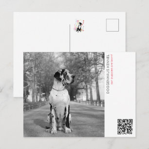 Postal Anuncio de cachorros