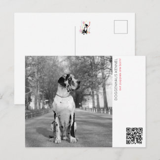 Postal Anuncio de cachorros