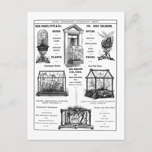 Postal Anuncio de 'Dick Radclyffe & Co.' Anuncio ruso (Anverso)