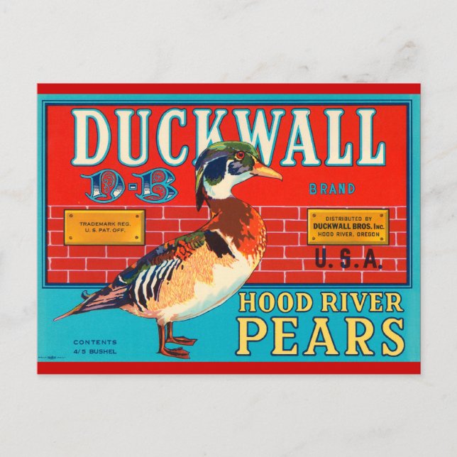Postal Anuncio de época del río Duck Wall Hood River Pear (Anverso)