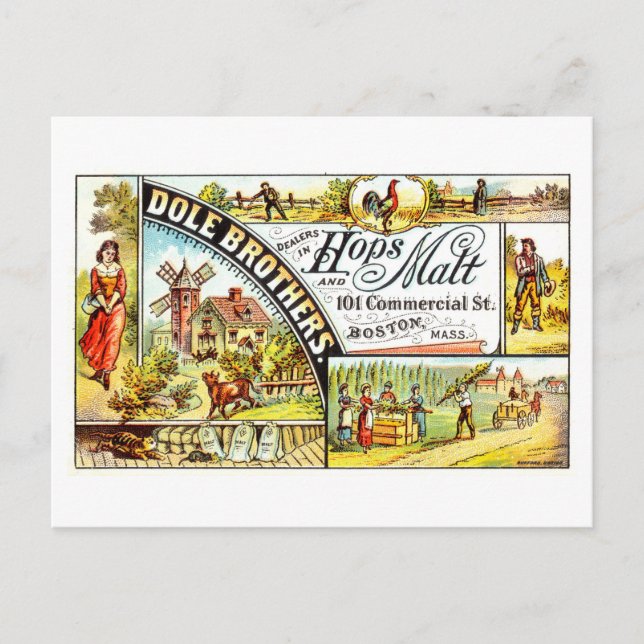 Postal Anuncio de época para Dole Bros. Hops & Malt (Anverso)