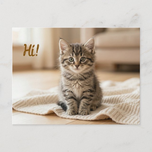 Postal Anuncio de Foto de Nuestro Nuevo Gatito  (Anverso)