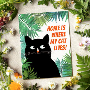 Postal Anuncio de gato negro mudándose