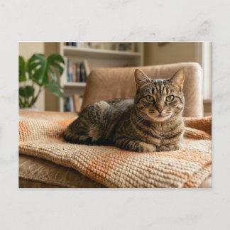 Postal Anuncio de hogar permanente para gatos 