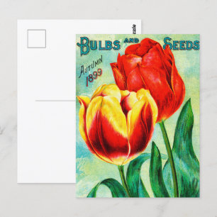 Postal Anuncio de jardín antiguo, tulipanes rojos amarill