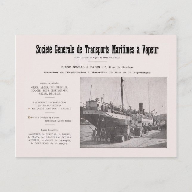 Postal Anuncio de la empresa naviera Vintage Algeria (Anverso)