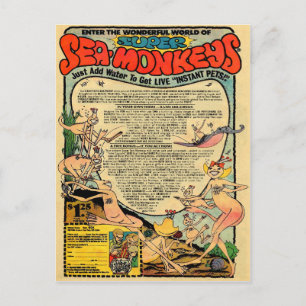 Postal Anuncio de monos marinos de época