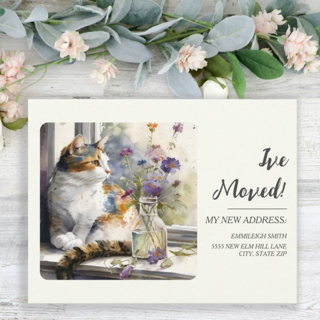 Postal Anuncio de Mudanza Gato Calico Ventana (Subido por el creador)