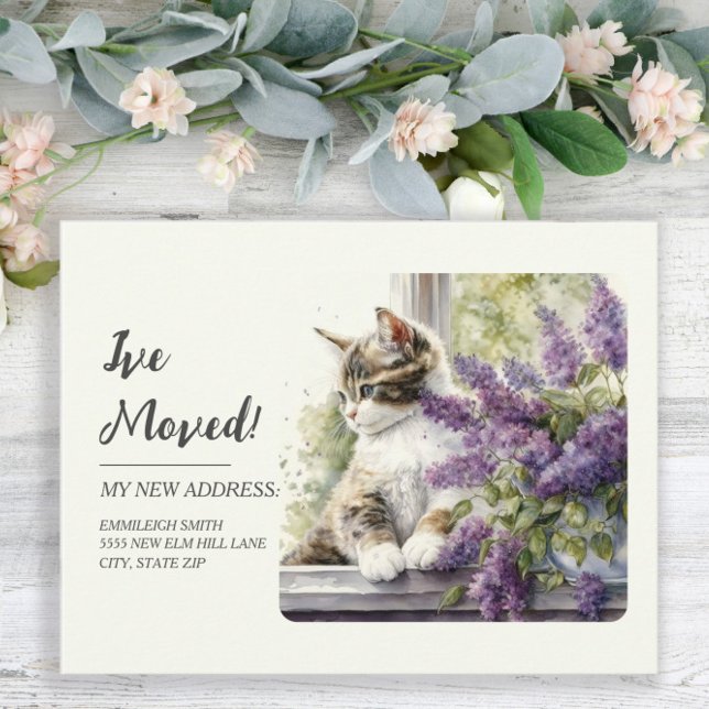 Postal Anuncio de Mudanza Gato Ventana Flores de Lavanda (Subido por el creador)